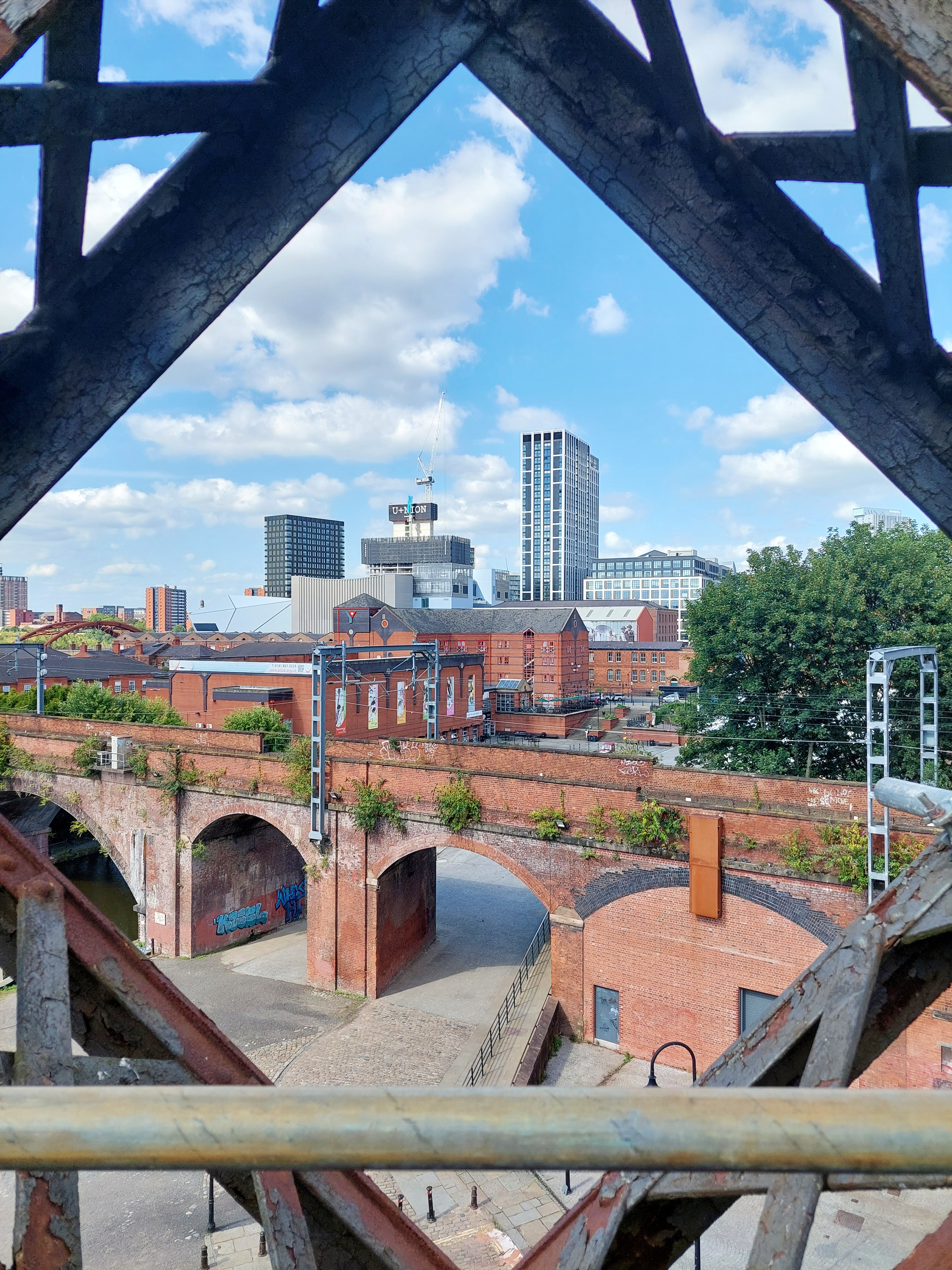 A Bug Girl’s Guide to Manchester