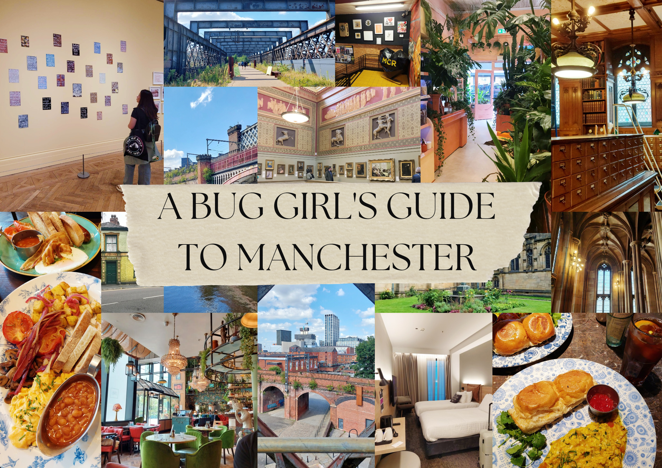 A Bug Girl's Guide to Manchester