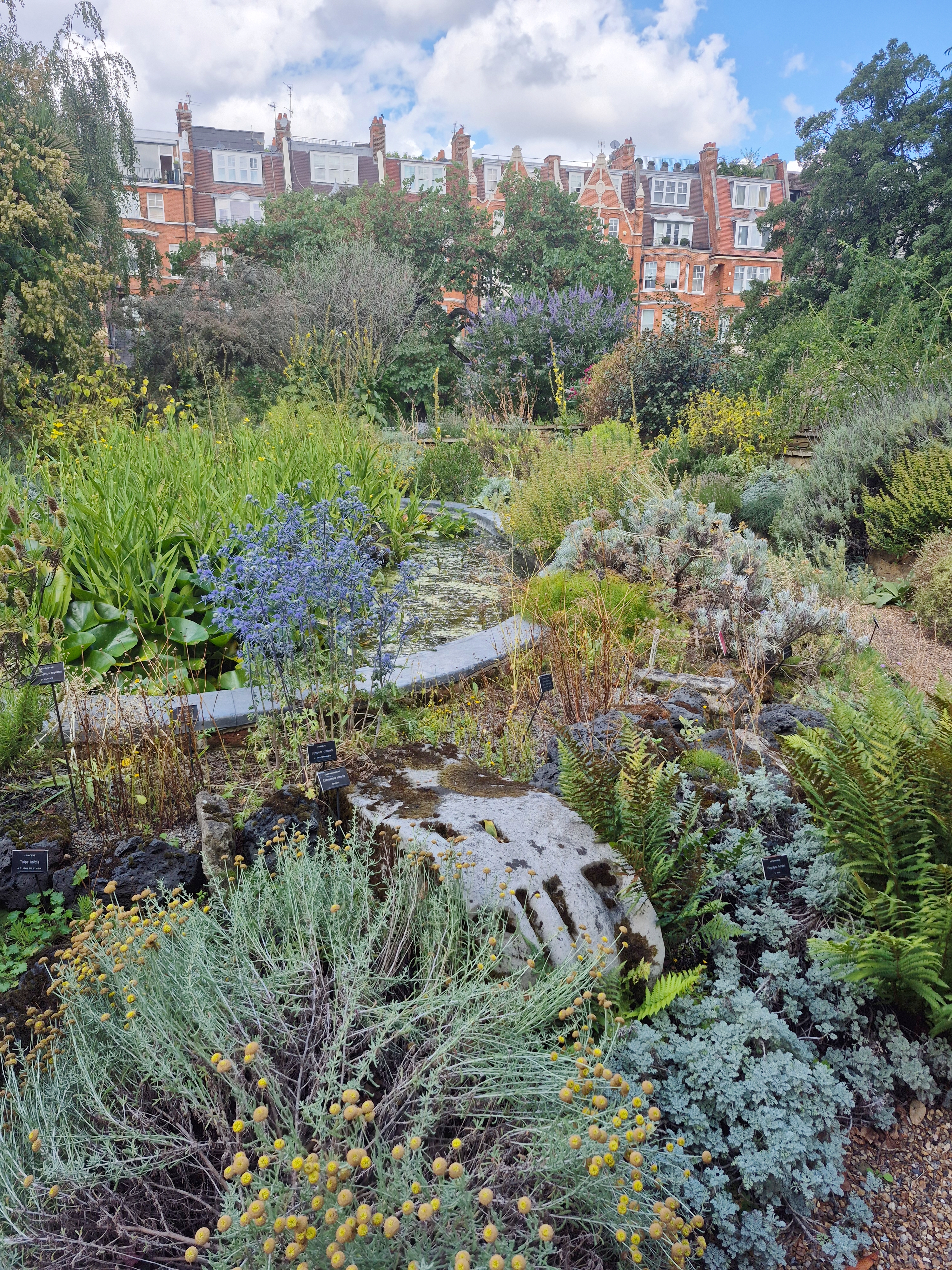 Visiting Chelsea Physic Garden - London’s Oldest Botanical Garden