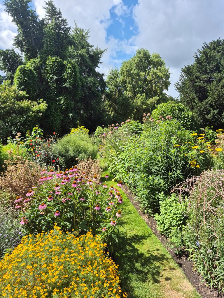 Visiting Chelsea Physic Garden - London’s Oldest Botanical Garden