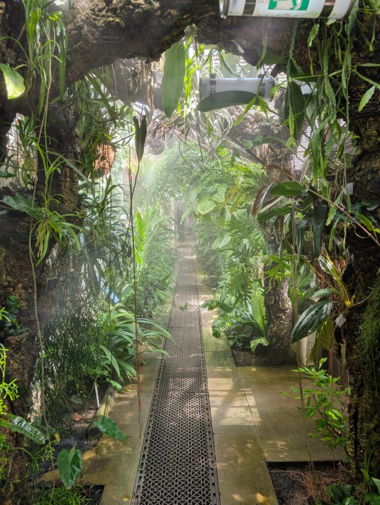 Visiting Chelsea Physic Garden - London’s Oldest Botanical Garden