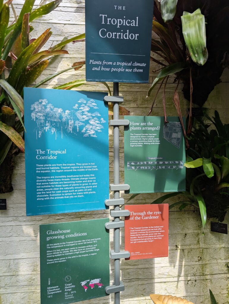 Visiting Chelsea Physic Garden - London’s Oldest Botanical Garden