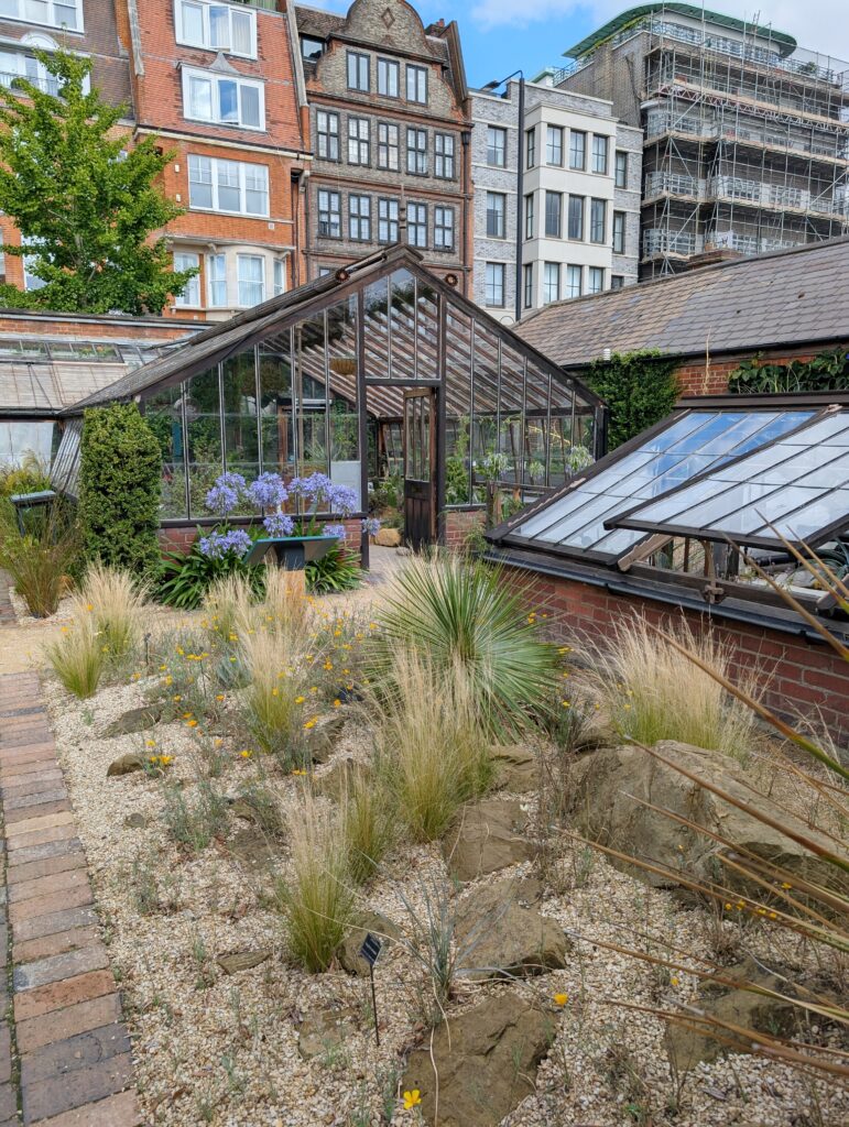 Visiting Chelsea Physic Garden - London’s Oldest Botanical Garden