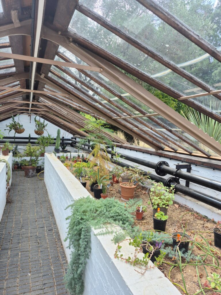 Visiting Chelsea Physic Garden - London’s Oldest Botanical Garden