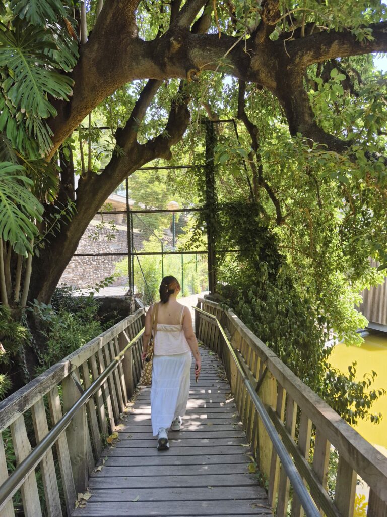 The Ultimate 4-Day Lisbon Itinerary for First-Time Visitors