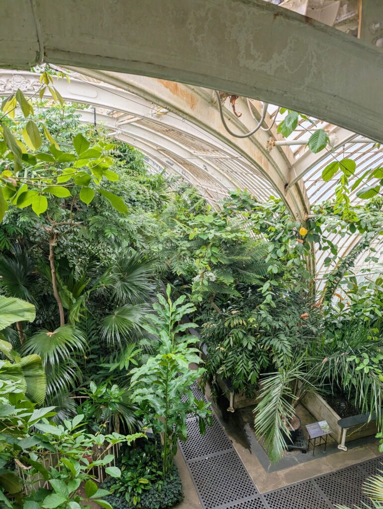 A Day at Kew Gardens - What to See, Do & Know Before You Go