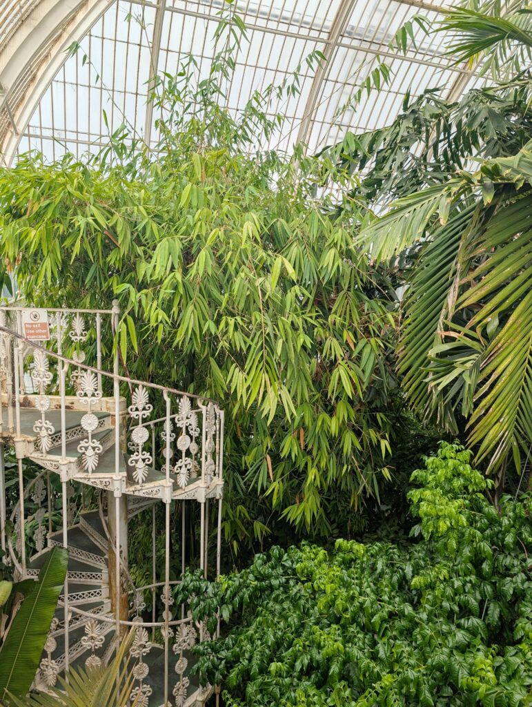 A Day at Kew Gardens - What to See, Do & Know Before You Go