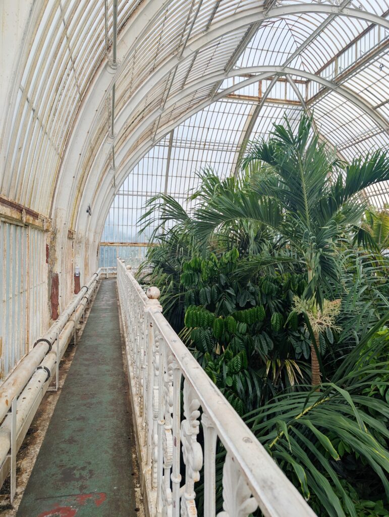 A Day at Kew Gardens - What to See, Do & Know Before You Go