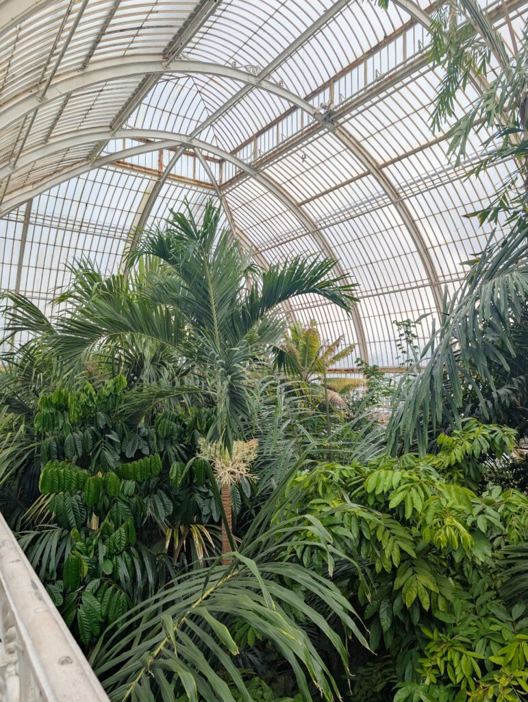 A Day at Kew Gardens - What to See, Do & Know Before You Go