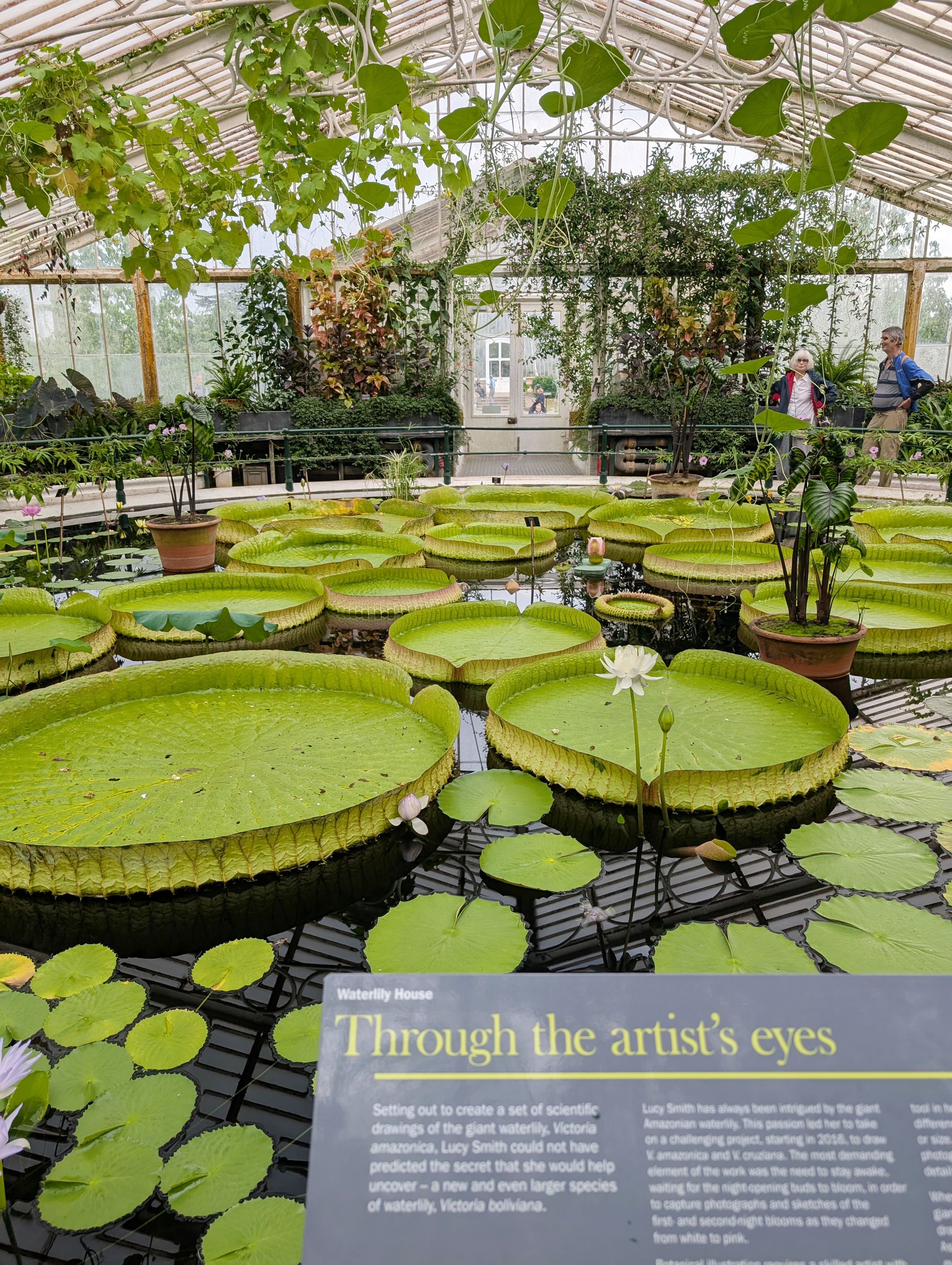 A Day at Kew Gardens - What to See, Do & Know Before You Go