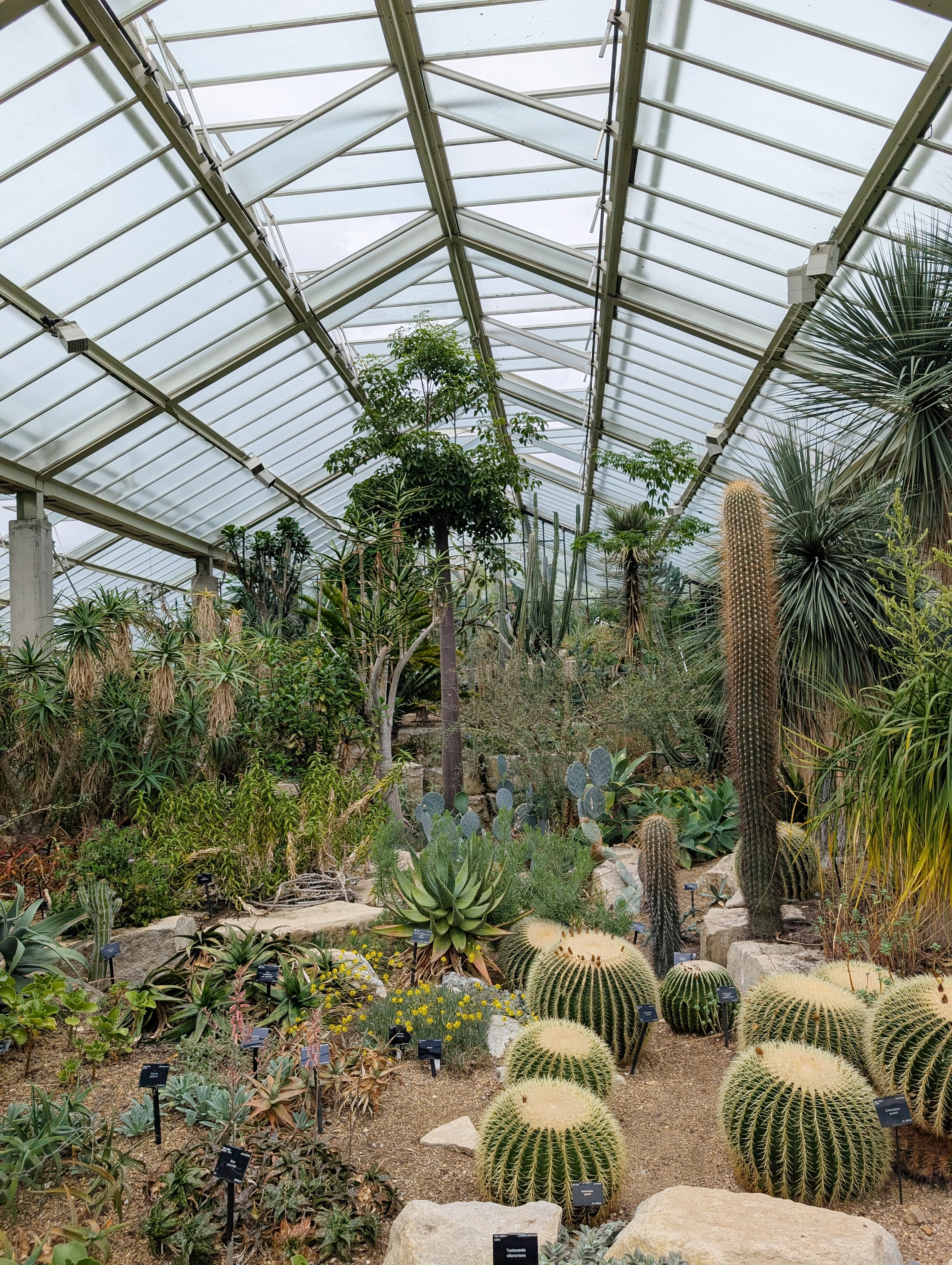 A Day at Kew Gardens - What to See, Do & Know Before You Go