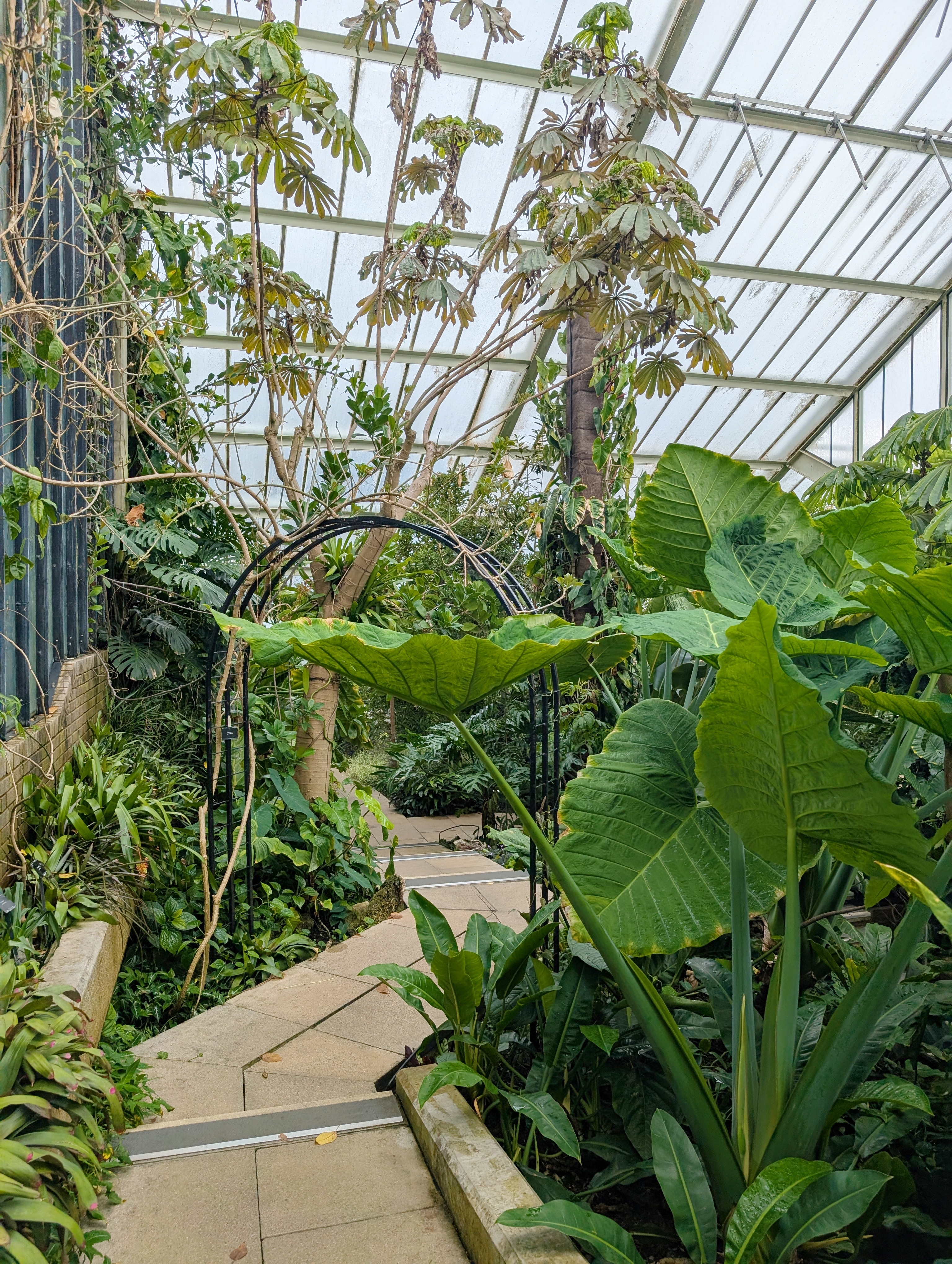 A Day at Kew Gardens - What to See, Do & Know Before You Go