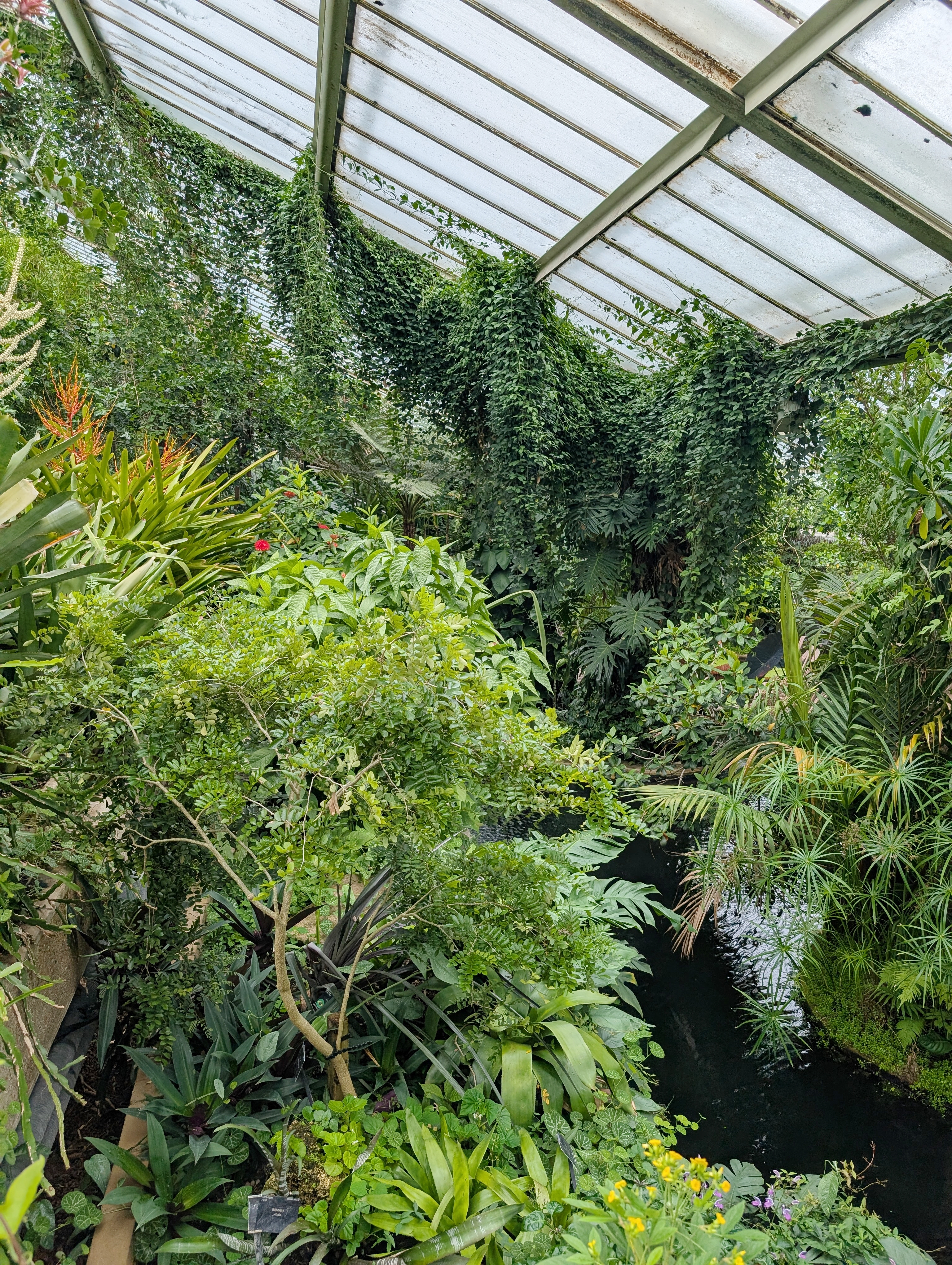A Day at Kew Gardens - What to See, Do & Know Before You Go