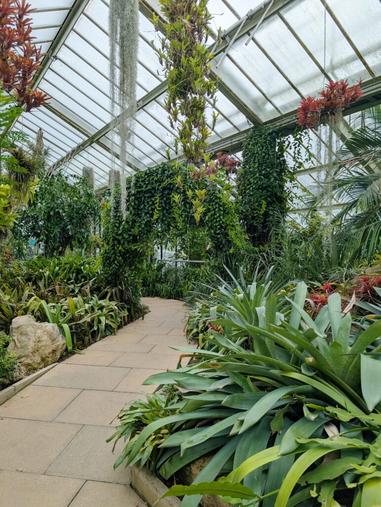 A Day at Kew Gardens - What to See, Do & Know Before You Go