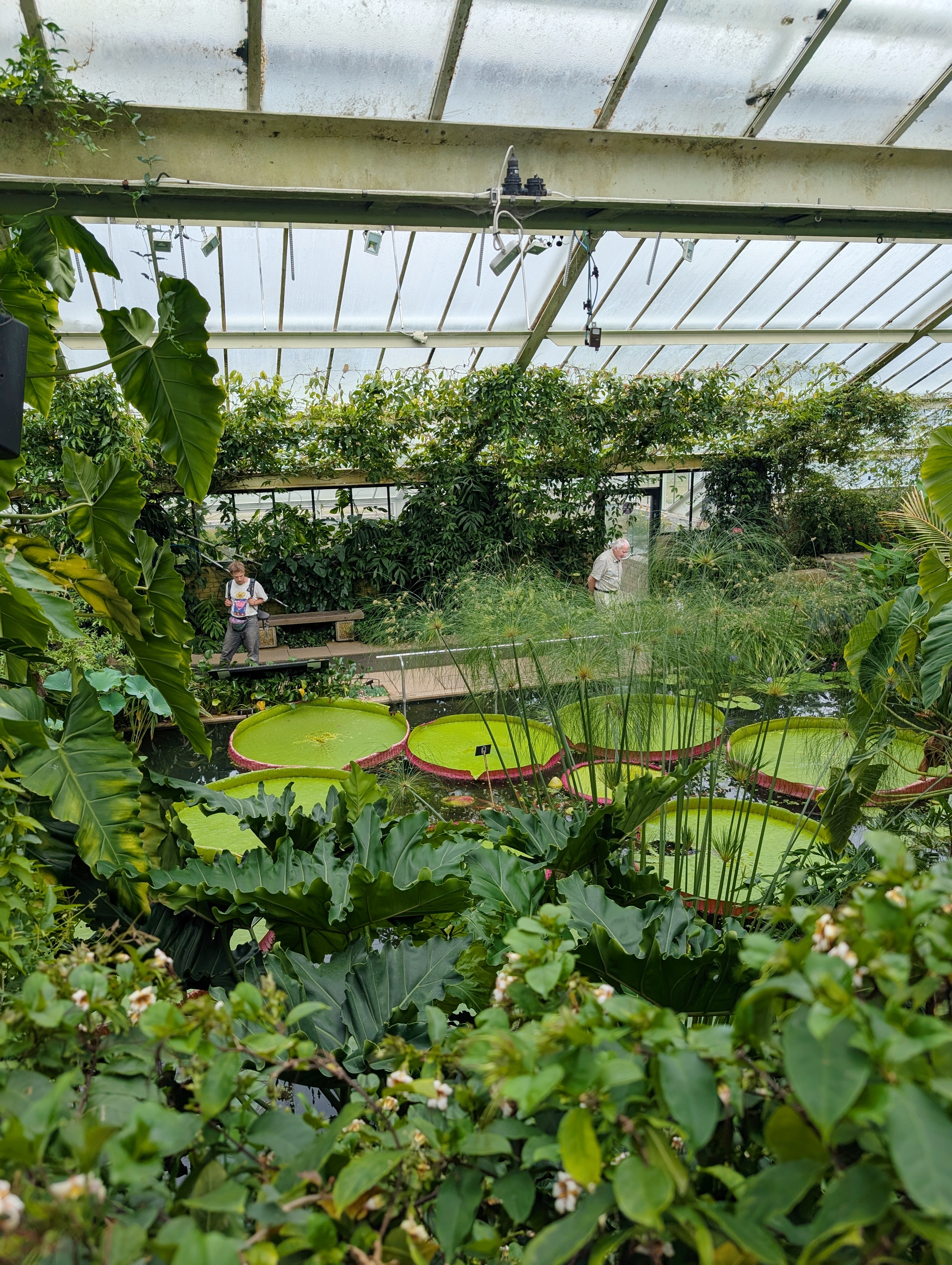 A Day at Kew Gardens - What to See, Do & Know Before You Go