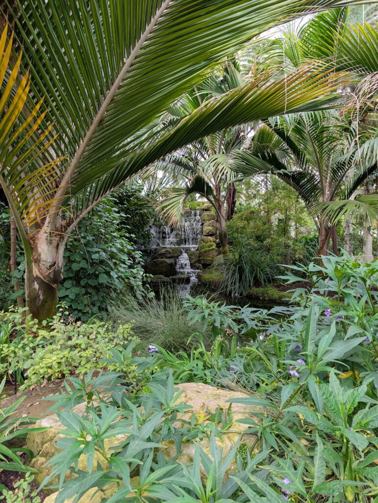 A Day at Kew Gardens - What to See, Do & Know Before You Go