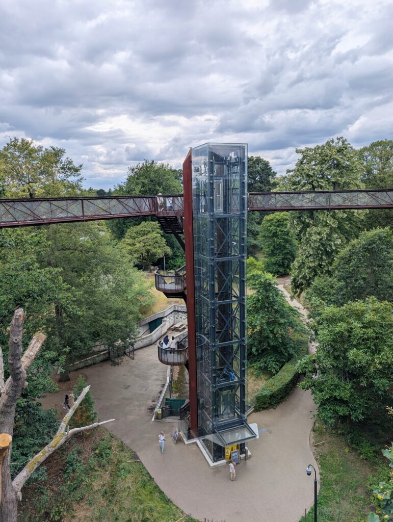 A Day at Kew Gardens - What to See, Do & Know Before You Go