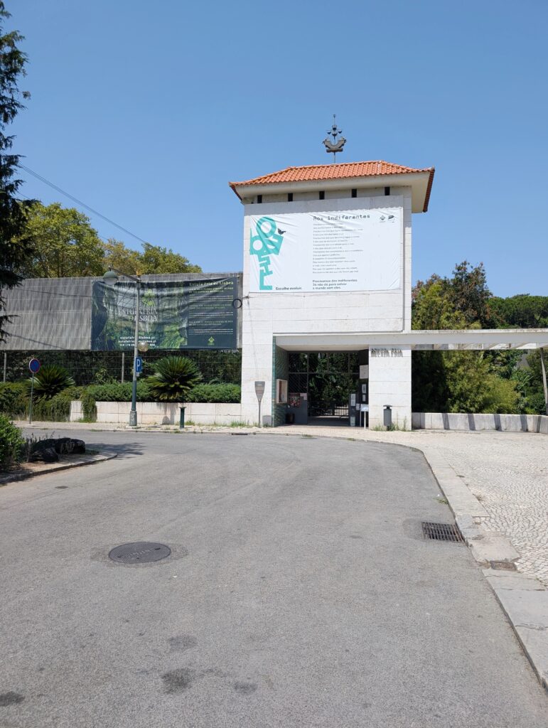 Estufa Fria: Lisbon’s Hidden Botanical Garden for Just €3.60