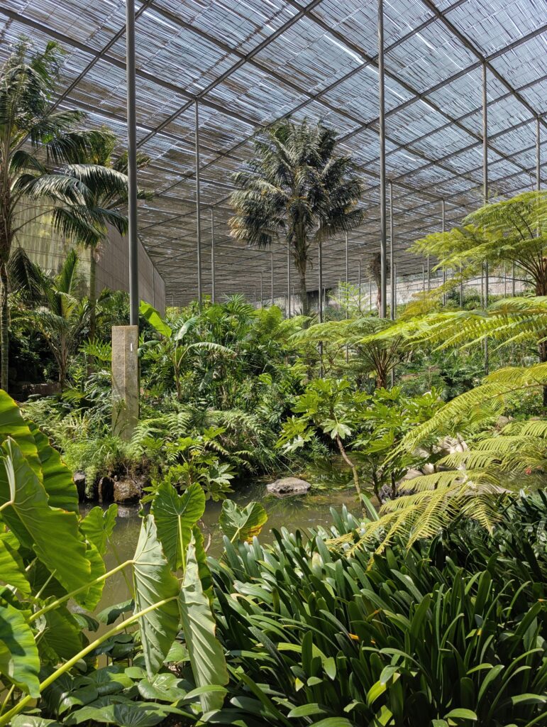 Estufa Fria: Lisbon’s Hidden Botanical Garden for Just €3.60