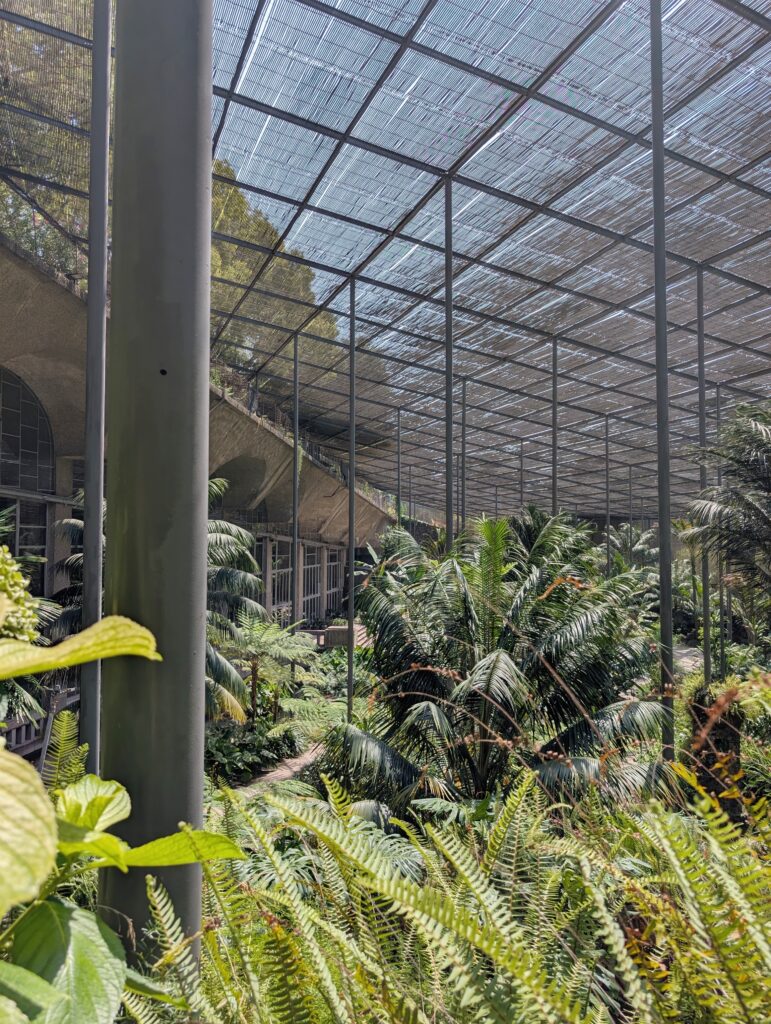 Estufa Fria: Lisbon’s Hidden Botanical Garden for Just €3.60