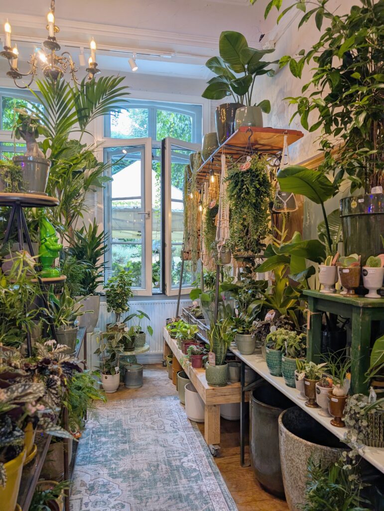 A Local’s Guide to Shopping in Maastricht: 5 Stores You’ll Fall in Love With