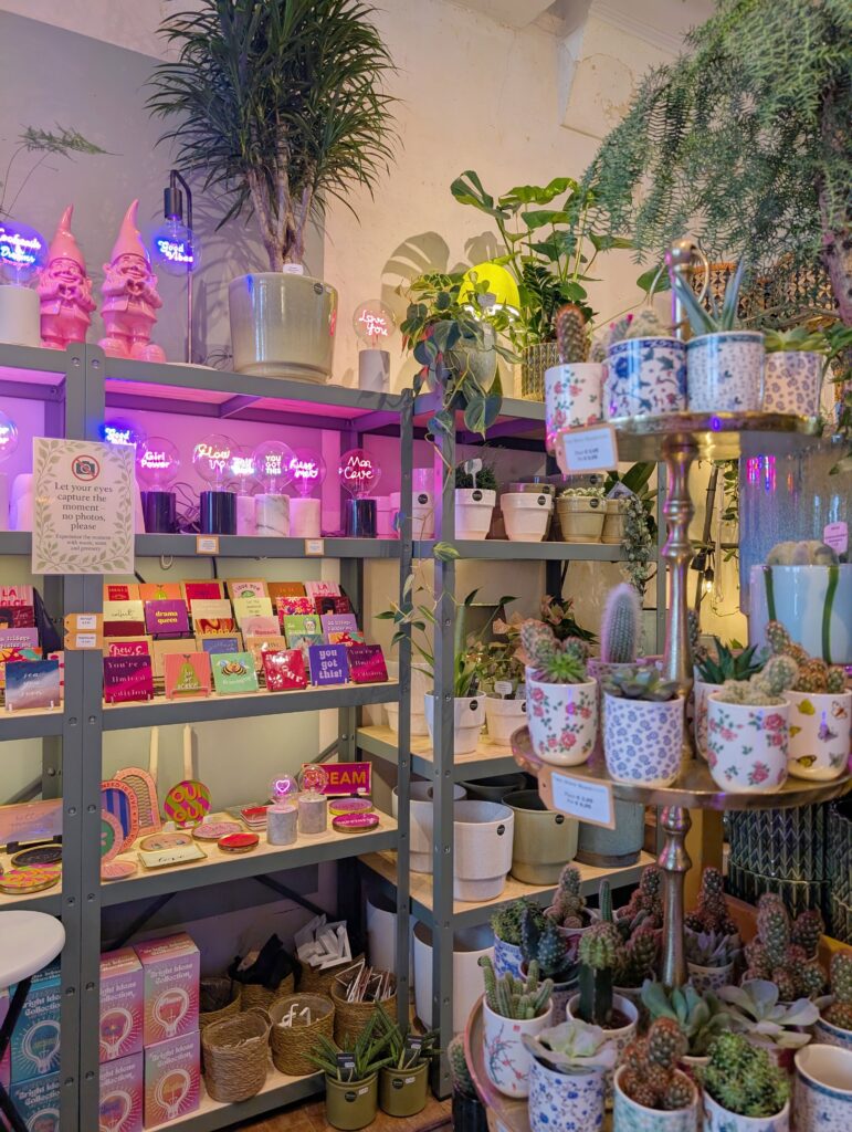 A Local’s Guide to Shopping in Maastricht: 5 Stores You’ll Fall in Love With