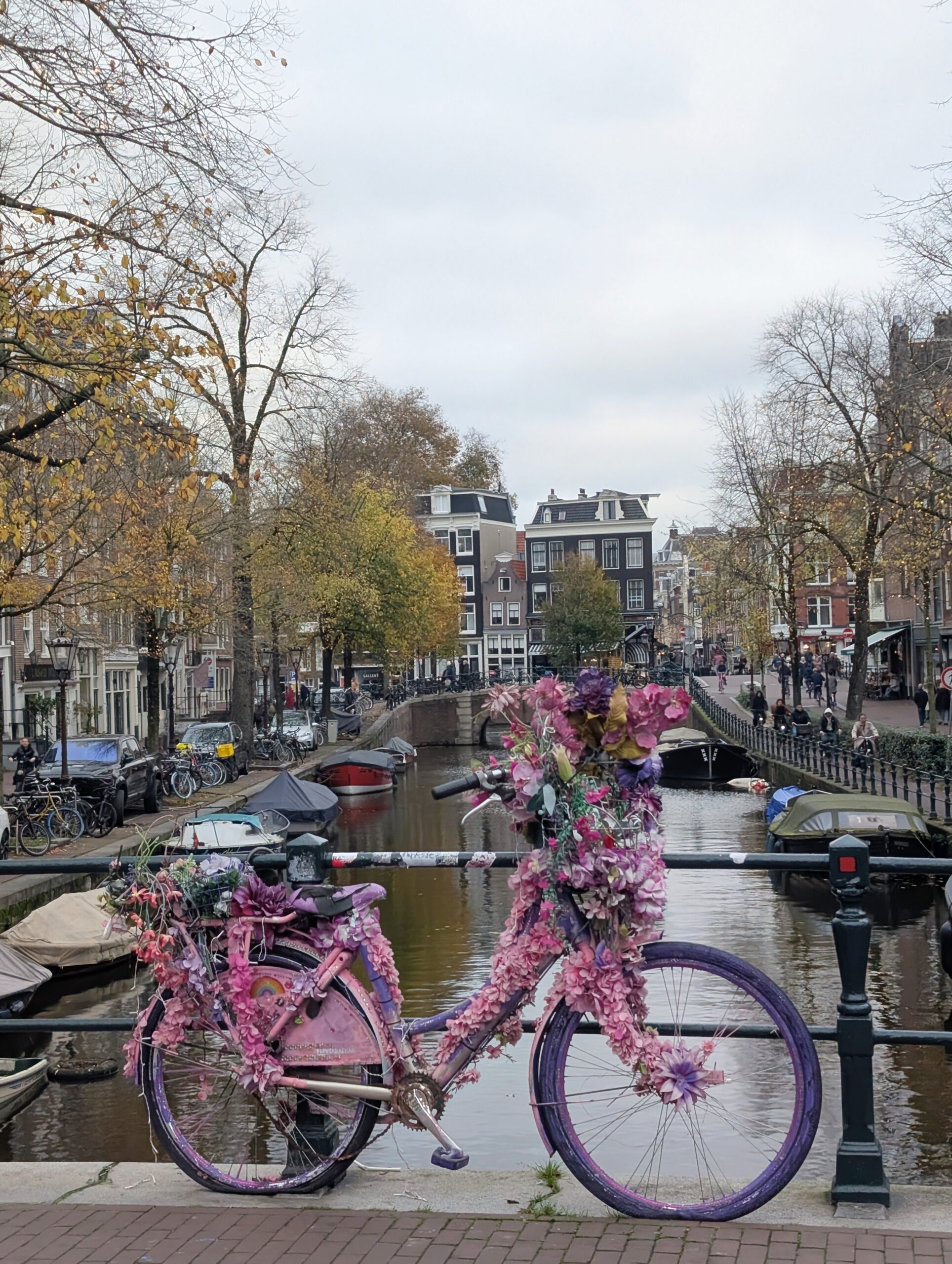 My P&O Mini Cruise Experience From Hull to Amsterdam