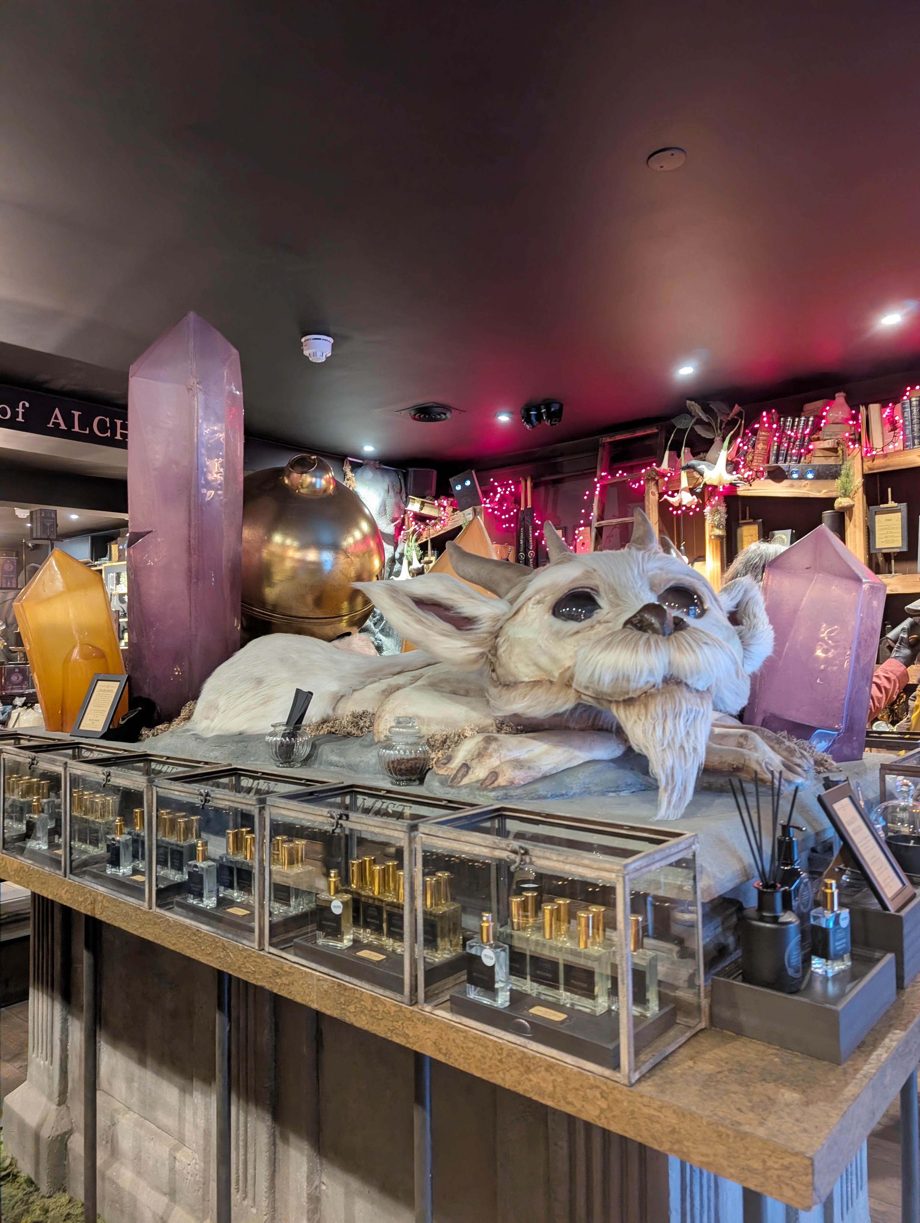6 Unique Shops You Need to Visit in York