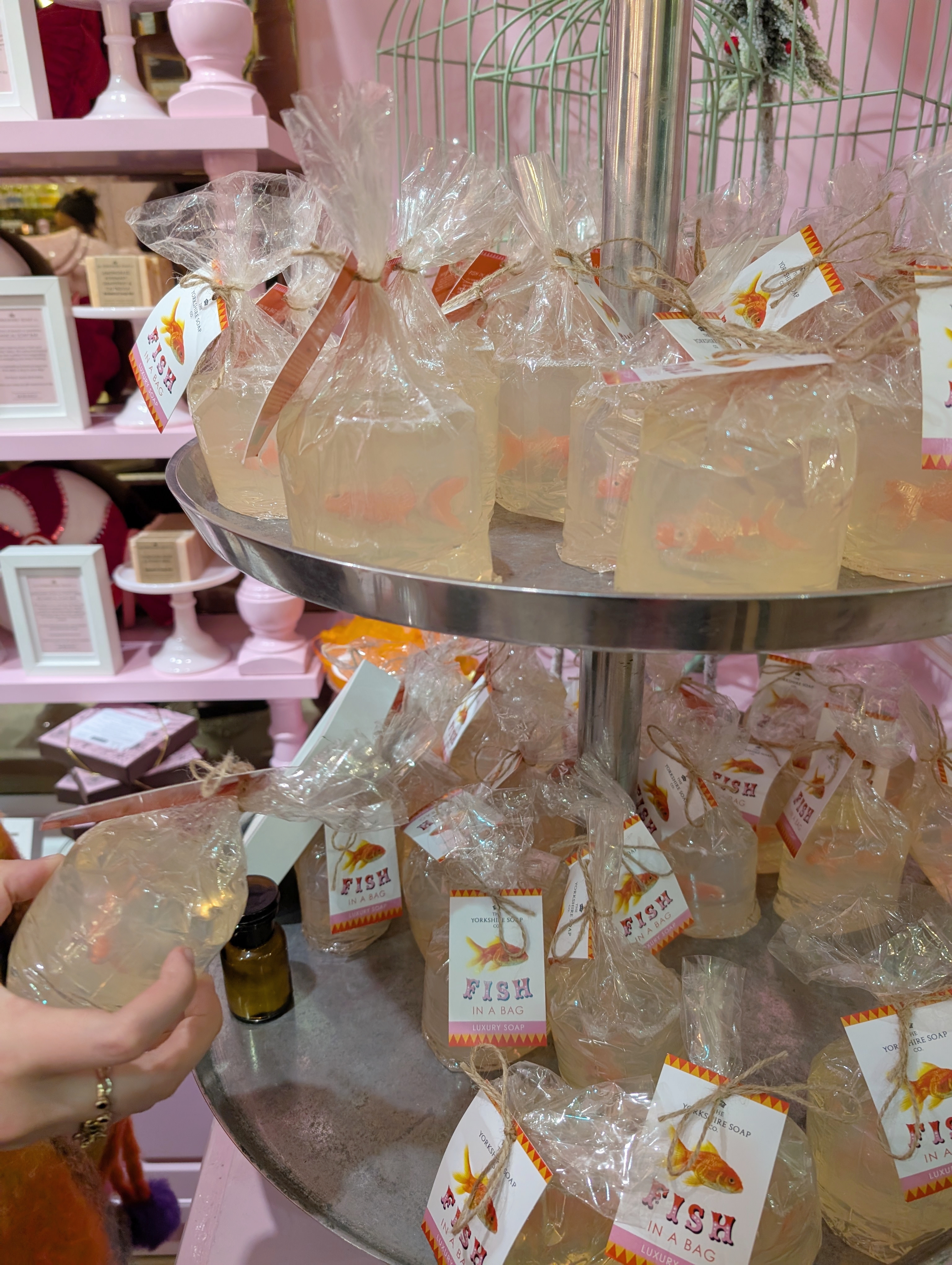 6 Unique Shops You Need to Visit in York