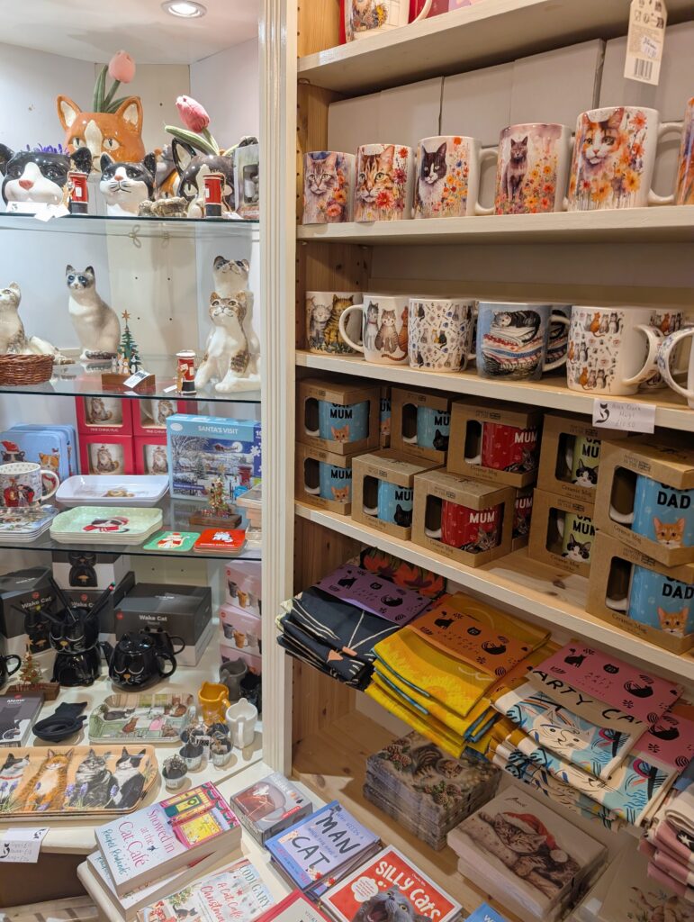 6 Unique Shops You Need to Visit in York