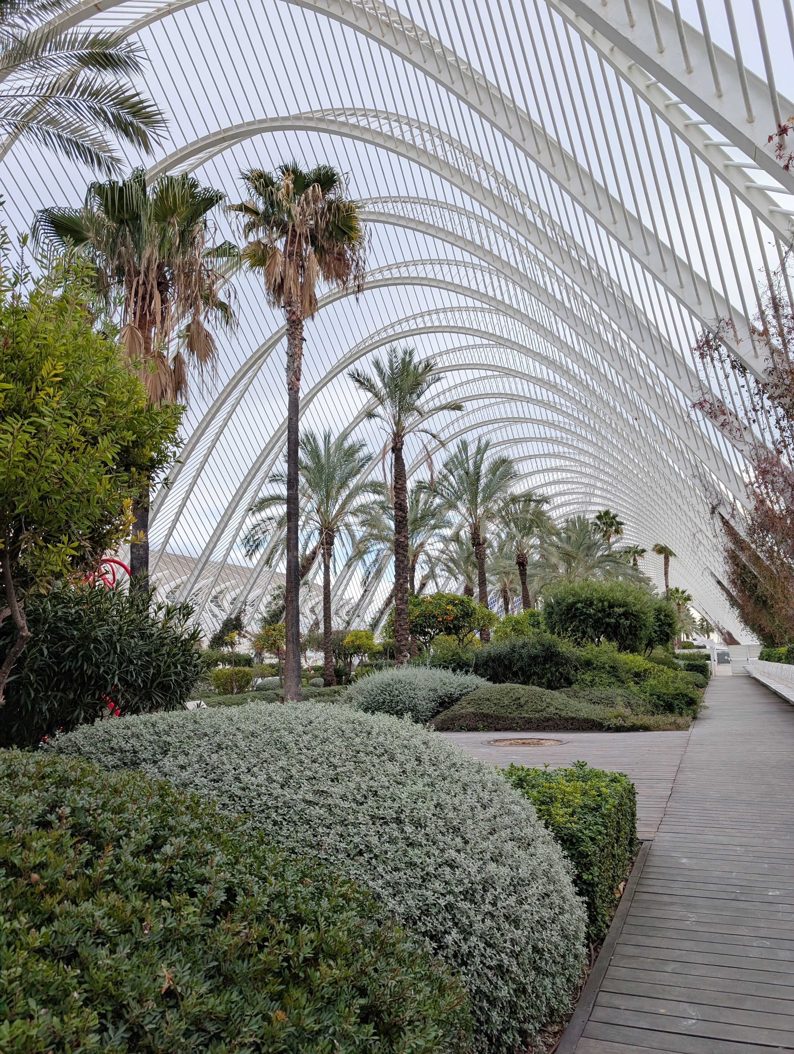My 5-Day Valencia Travel Diary: Food, Sightseeing & Hidden Gems