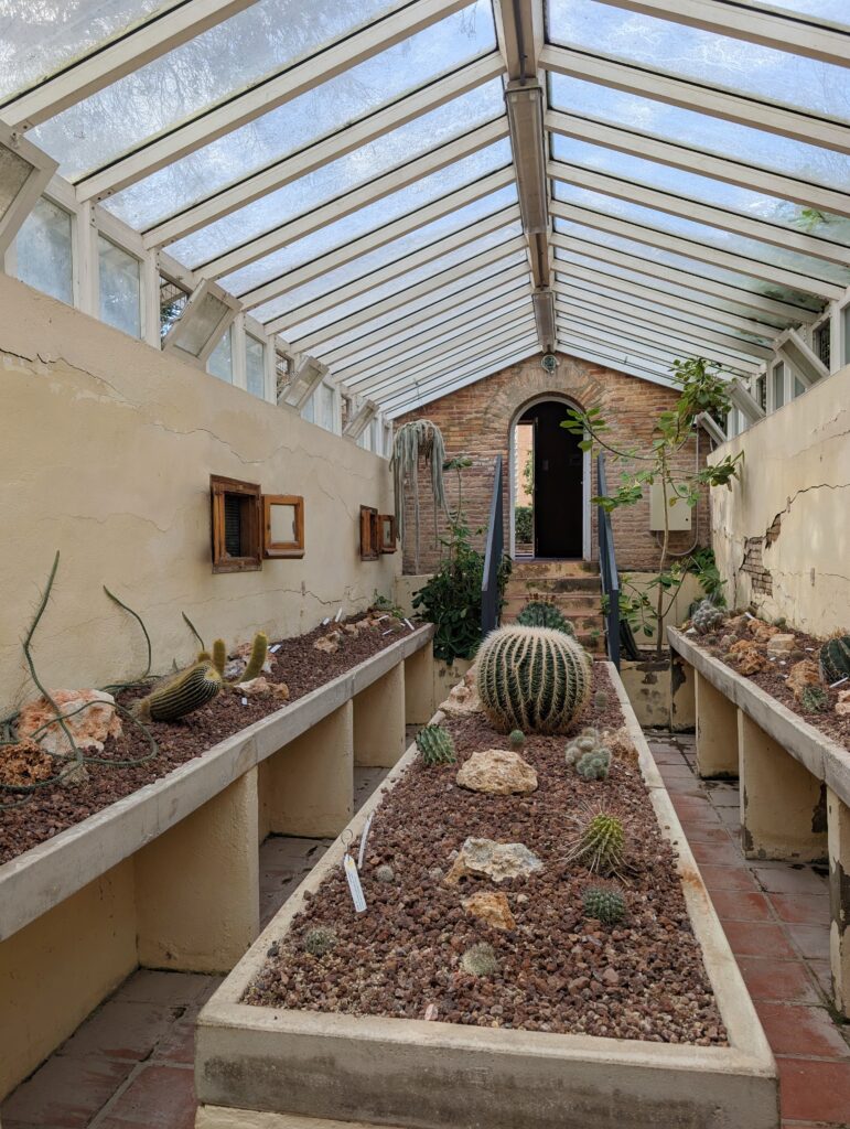 My 5-Day Valencia Travel Diary: Food, Sightseeing & Hidden Gems