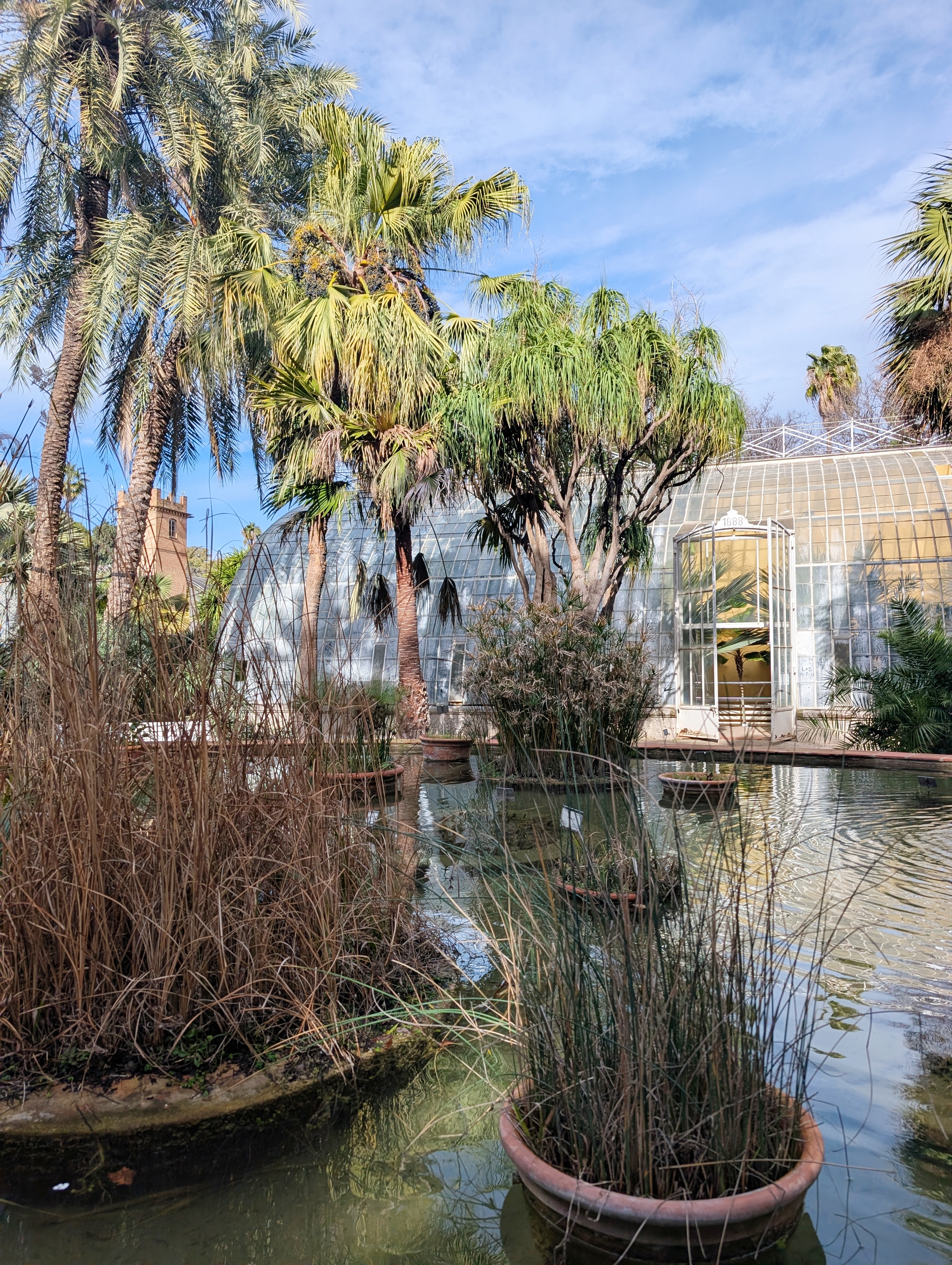 My 5-Day Valencia Travel Diary: Food, Sightseeing & Hidden Gems