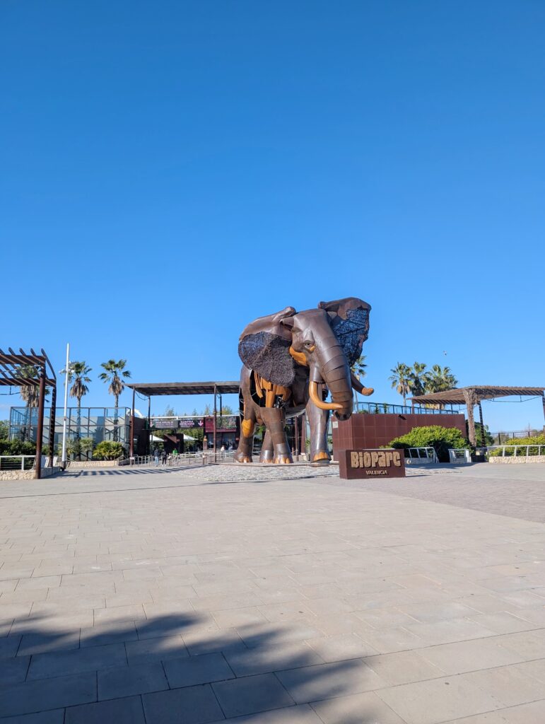 My 5-Day Valencia Travel Diary: Food, Sightseeing & Hidden Gems