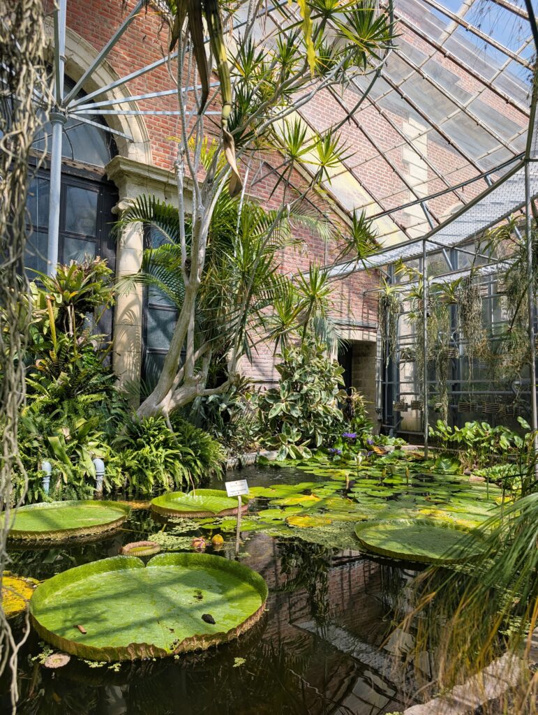 How to Spend One Day in Leuven: The Perfect Itinerary